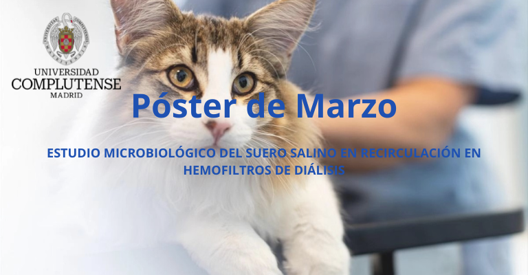 Estudio microbiológico del suero salino en recirculación en hemofiltros de diálisis